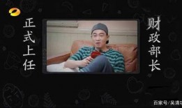 火哥爆料杨美丽视频在线观看,杨美丽视频在线观看，揭秘幕后真相