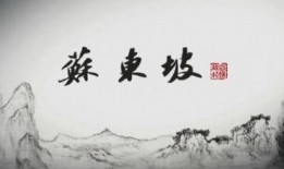 东坡爆料视频大全集,视频大全集精彩瞬间回顾