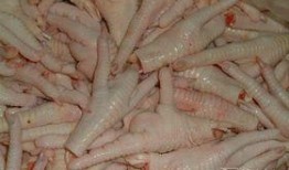 鸡爪养殖爆料视频播放下载,爆款视频播放下载背后的养殖秘密