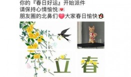 小琪的吃瓜日记免费阅读,揭秘娱乐圈幕后故事