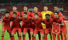 国家队队员爆料新闻最新,备战世界杯背后的故事与挑战